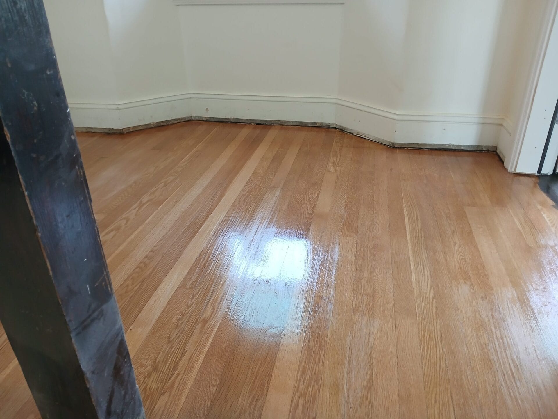 Polished Hardwood Floor